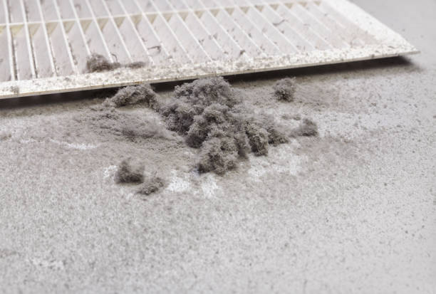 Best Air Duct Cleaning Near Me  in Mount Carroll, IL