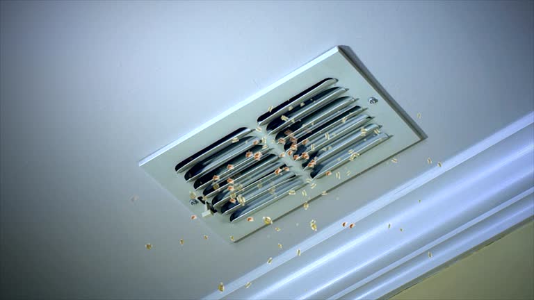Professional Airduct Cleaning in IL