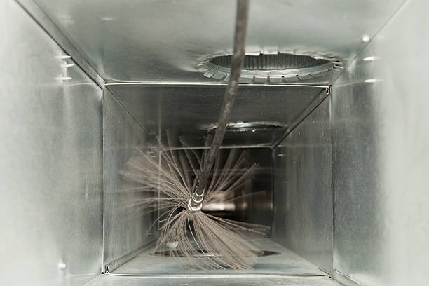 Best Air Vent Cleaning Services  in Mount Carroll, IL